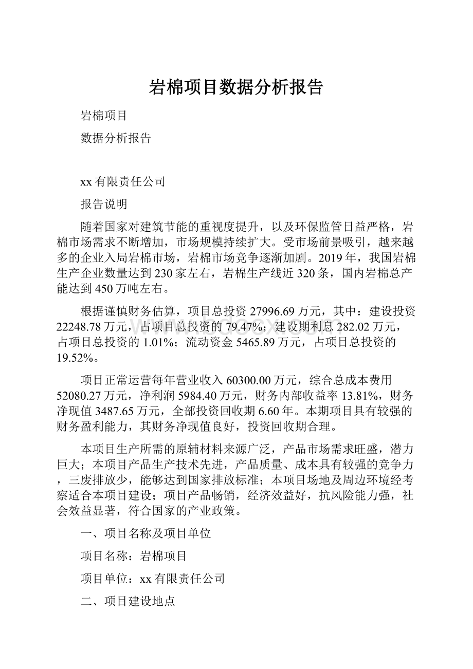 岩棉项目数据分析报告.docx