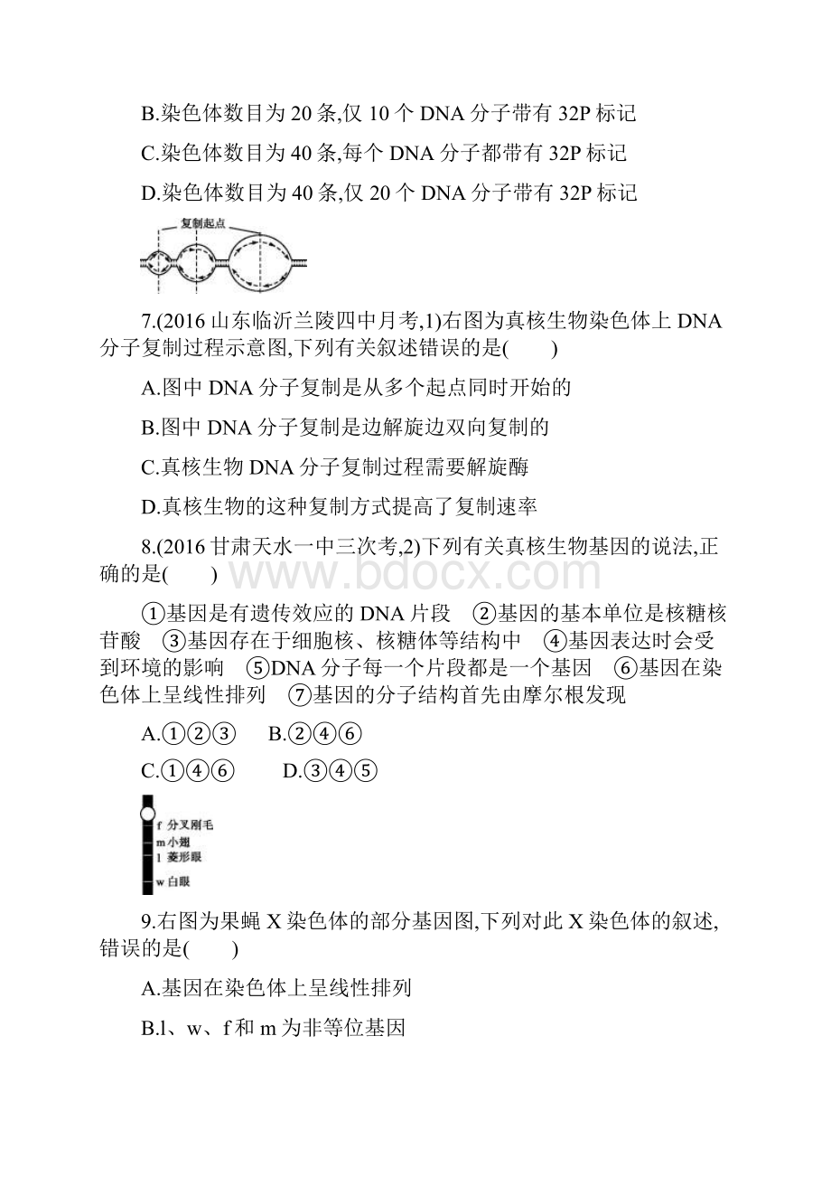 高考生物一轮复习考点规范练19DNA分子的结构和复制 基因是具有遗传效应的DNA片段含答案.docx_第3页