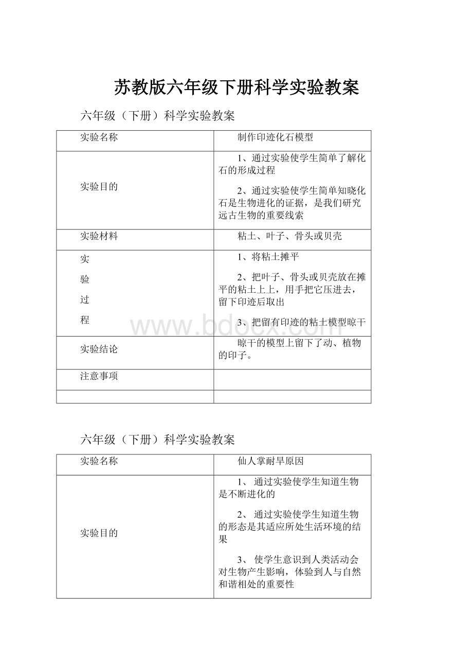 苏教版六年级下册科学实验教案.docx