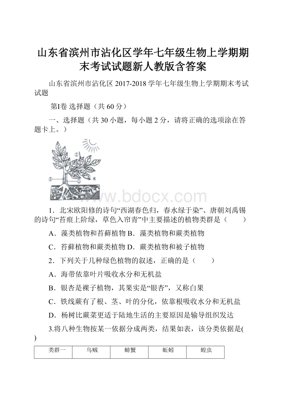 山东省滨州市沾化区学年七年级生物上学期期末考试试题新人教版含答案.docx_第1页