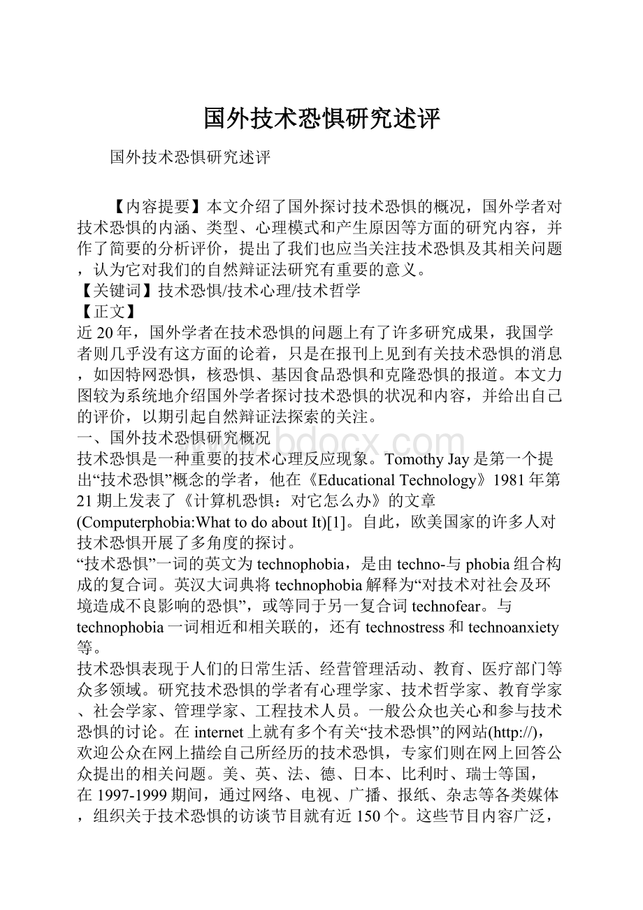 国外技术恐惧研究述评.docx_第1页