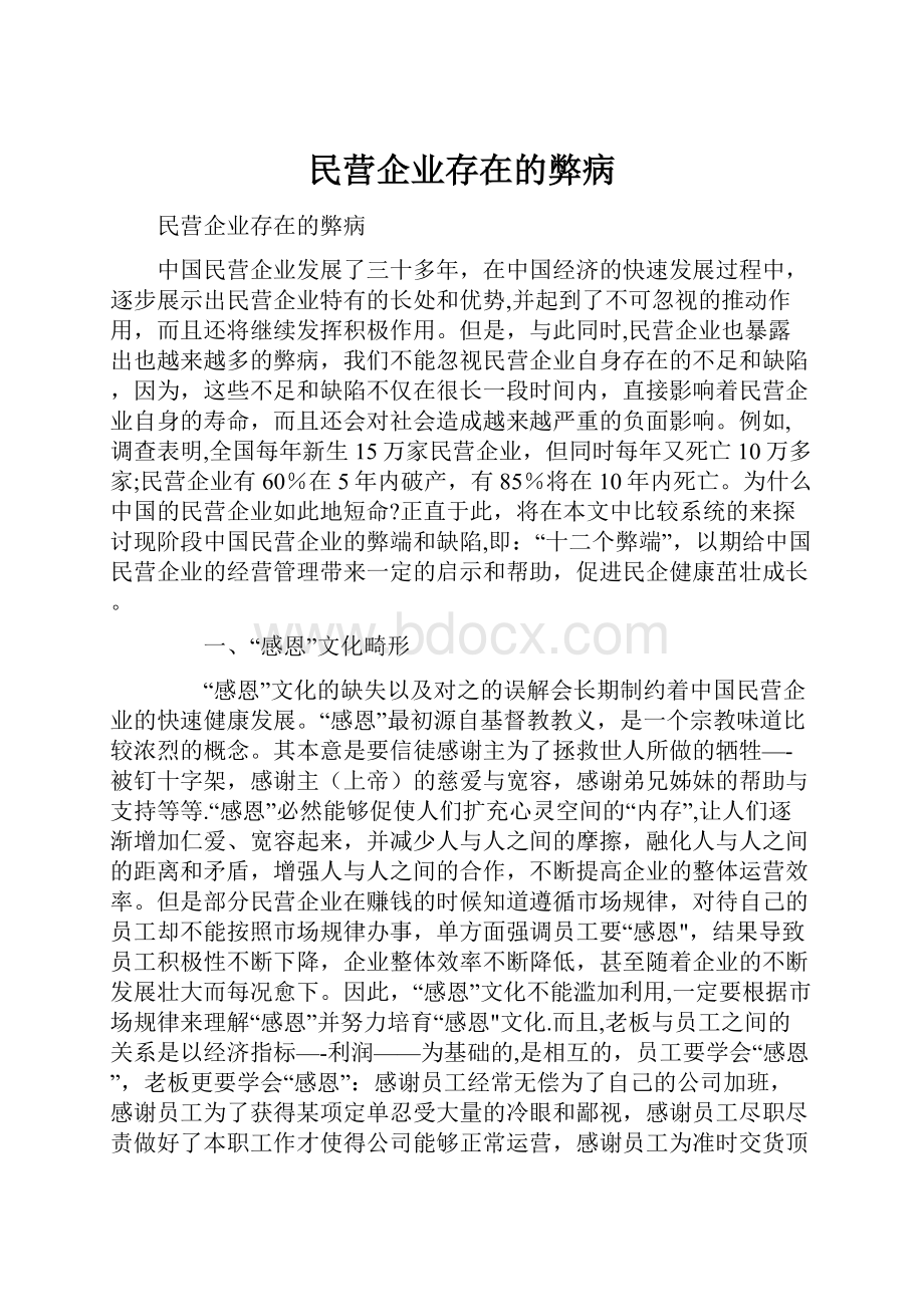 民营企业存在的弊病.docx_第1页