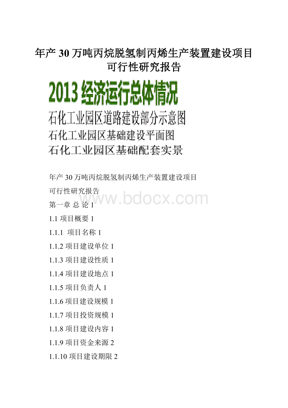 年产30万吨丙烷脱氢制丙烯生产装置建设项目可行性研究报告.docx_第1页