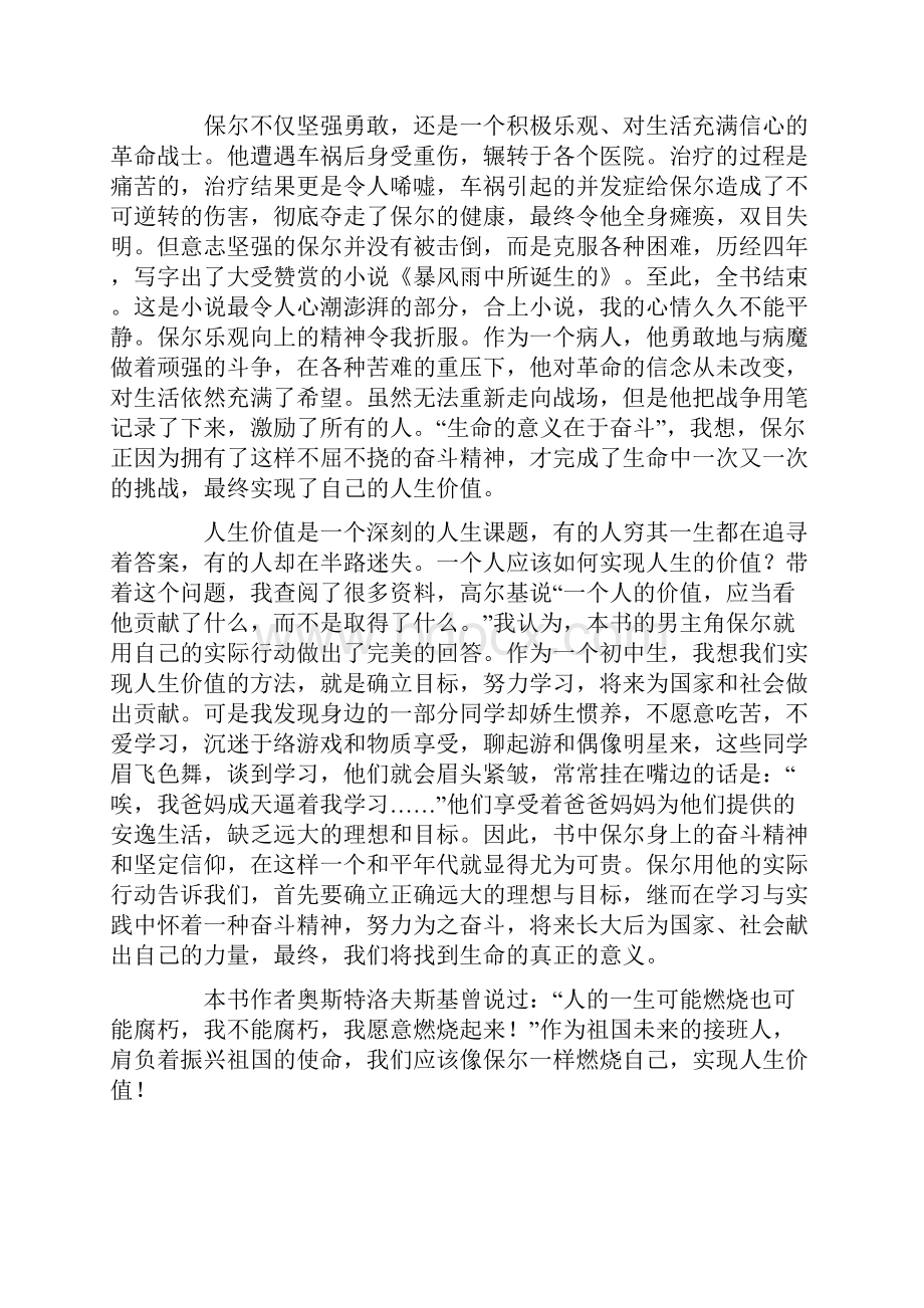 钢铁是怎样炼成的读书笔记15篇.docx_第3页