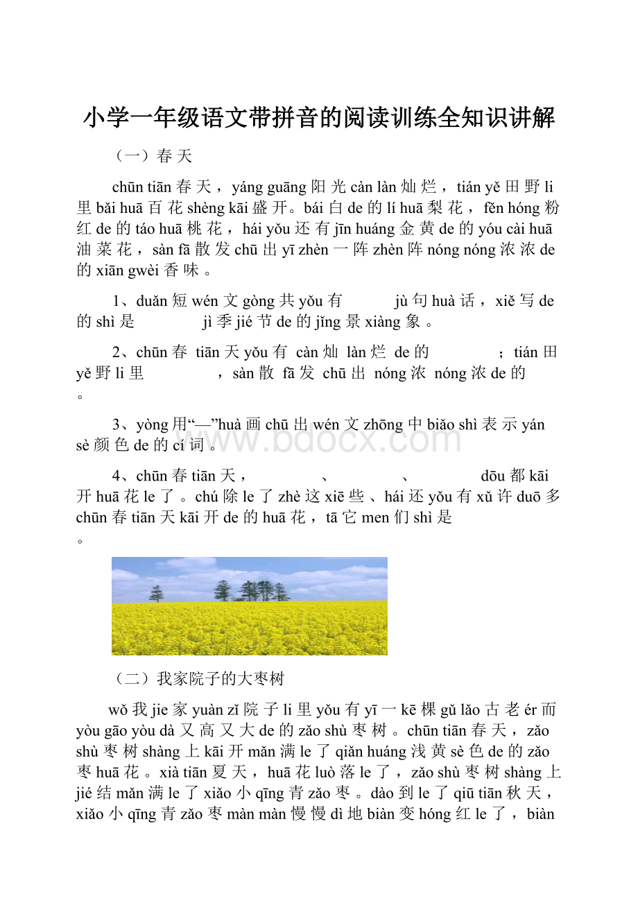 小学一年级语文带拼音的阅读训练全知识讲解.docx