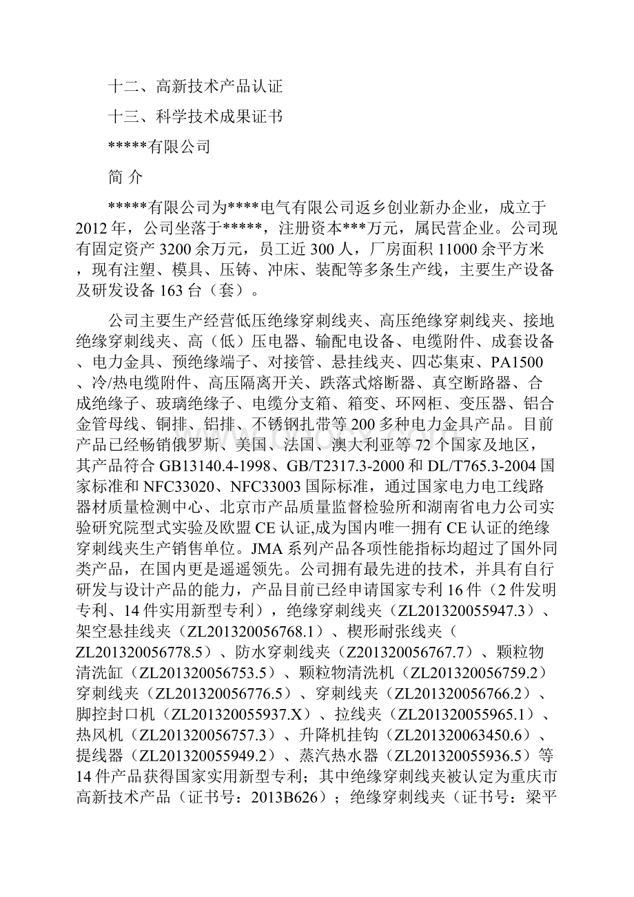 工业特色产业技术创新成果转化应用项目申报材料.docx_第2页