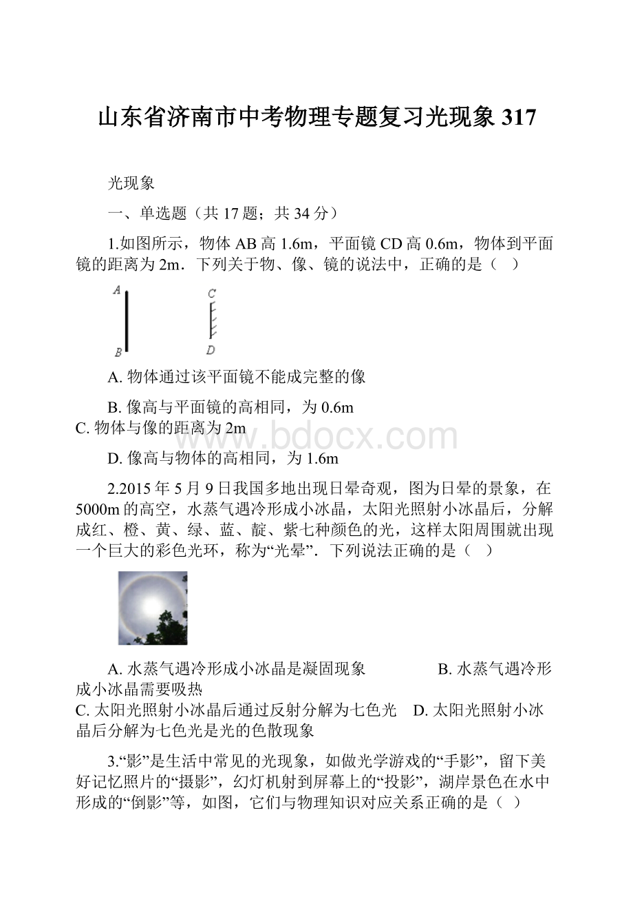 山东省济南市中考物理专题复习光现象317.docx