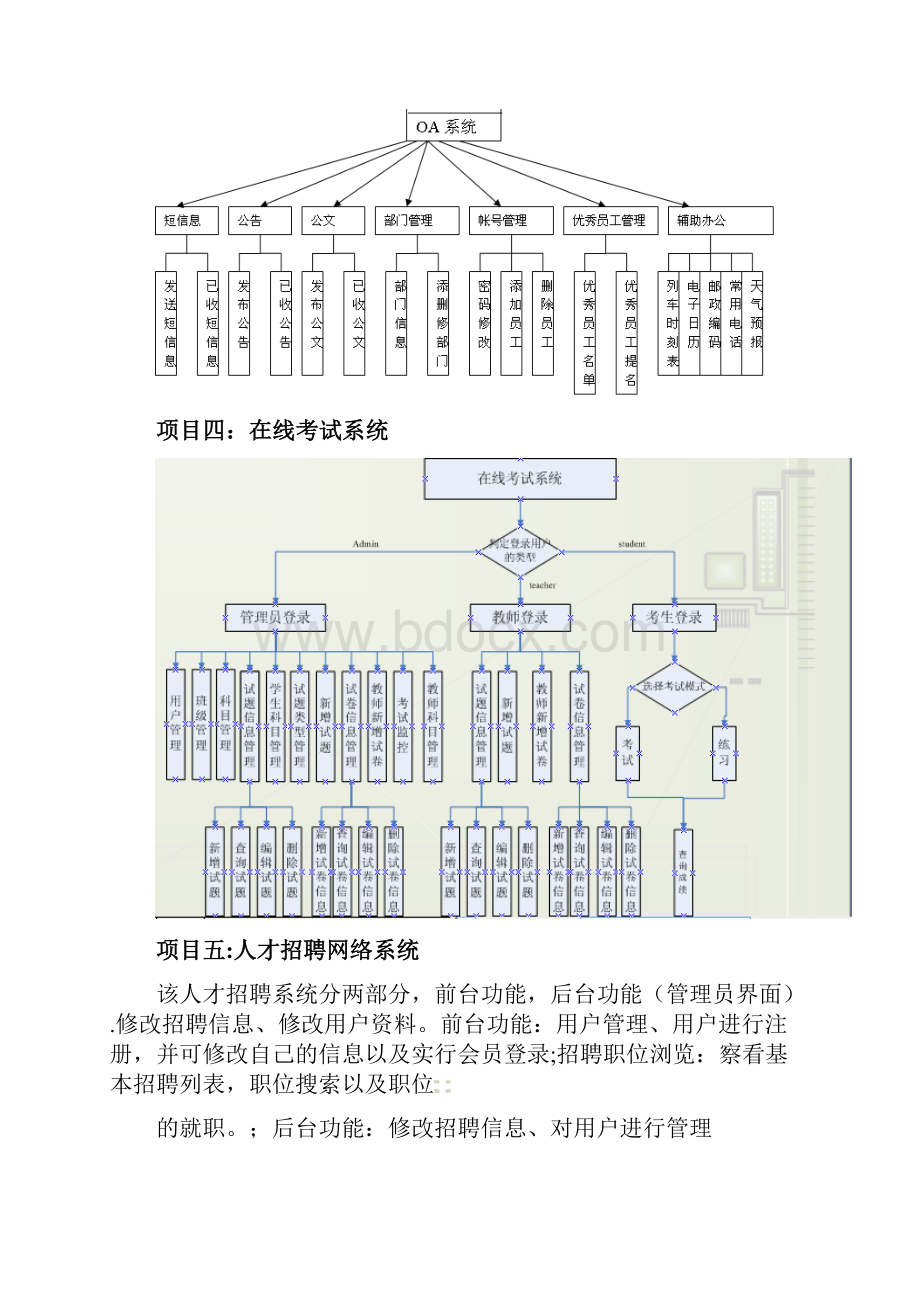 项目任务书.docx_第3页