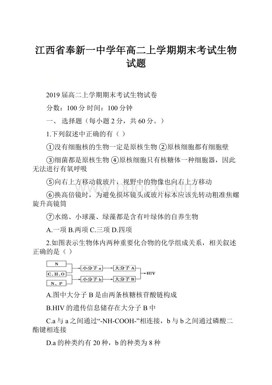 江西省奉新一中学年高二上学期期末考试生物试题.docx_第1页