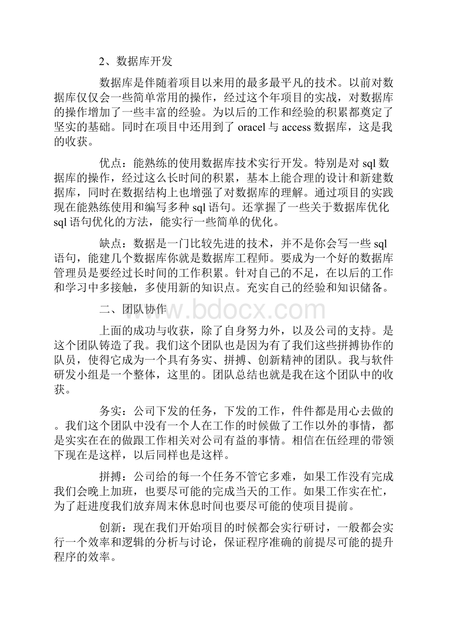 程序员年度工作报告.docx_第2页