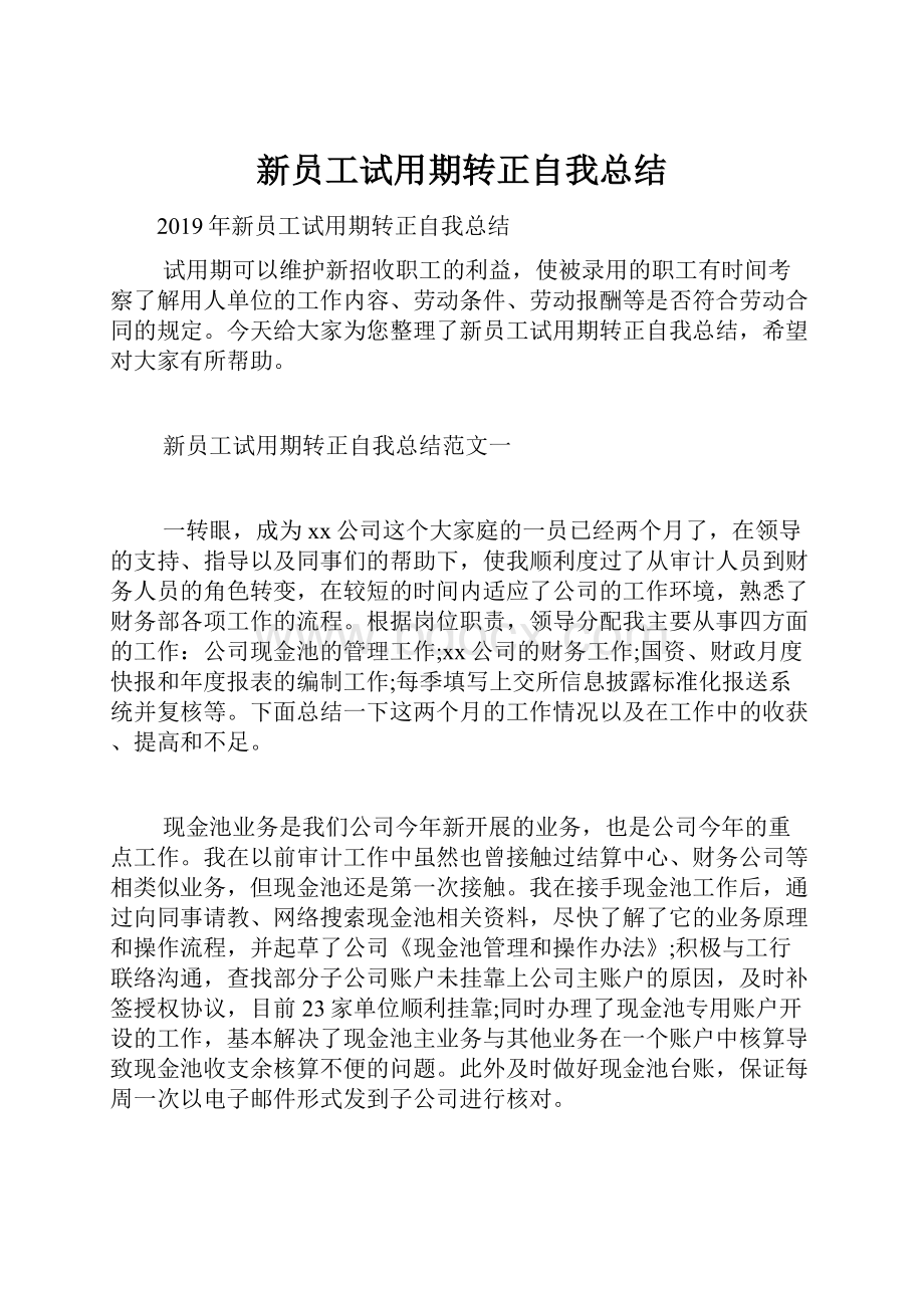 新员工试用期转正自我总结.docx