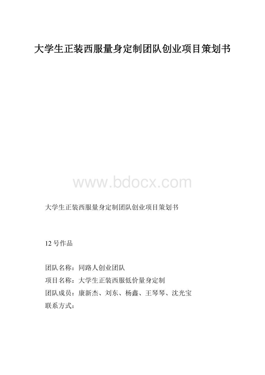 大学生正装西服量身定制团队创业项目策划书.docx