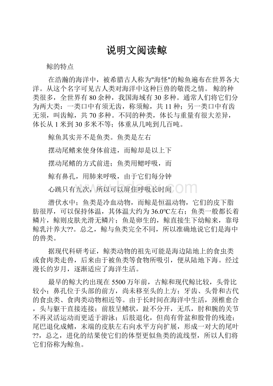 说明文阅读鲸.docx