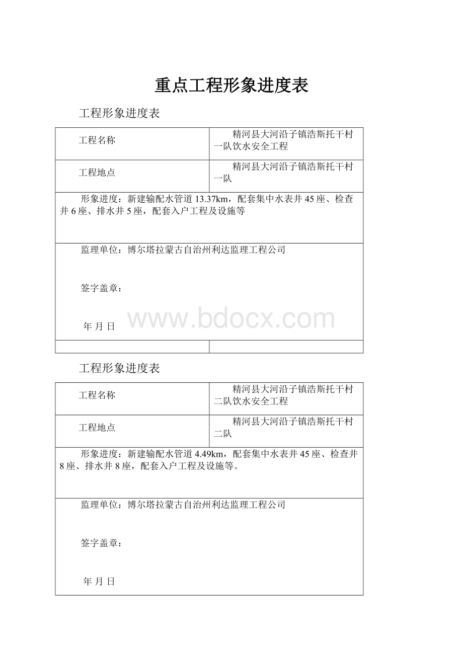 重点工程形象进度表.docx