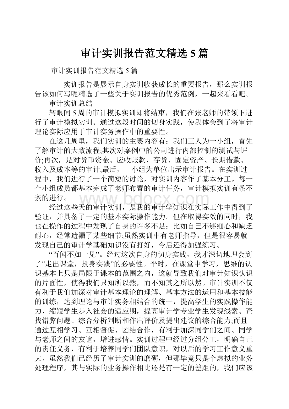 审计实训报告范文精选5篇.docx