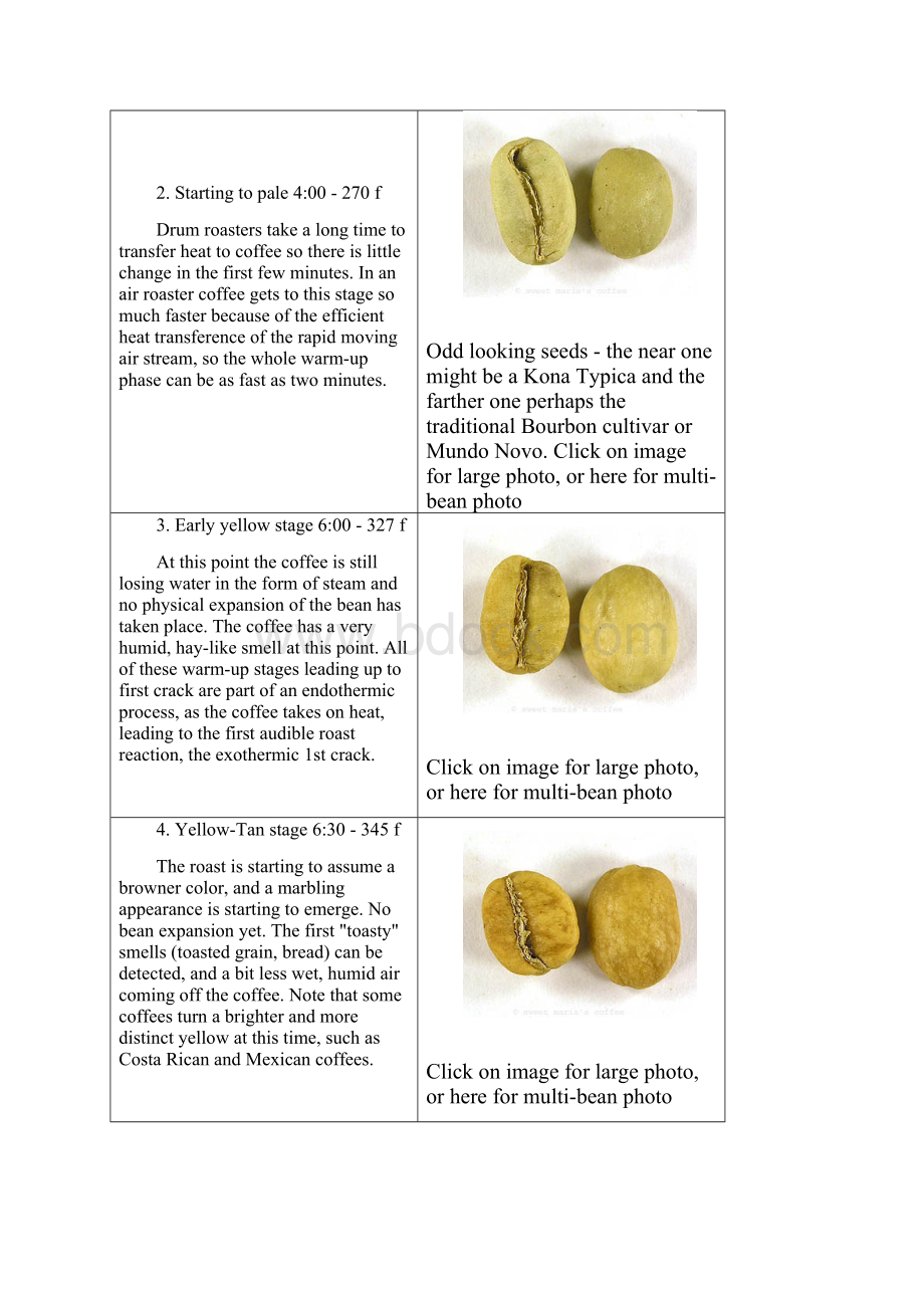 Degree of Roast.docx_第2页