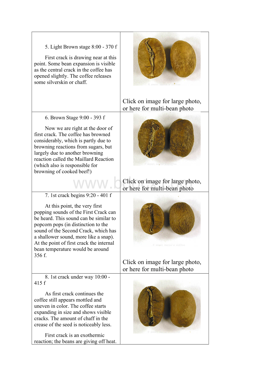 Degree of Roast.docx_第3页