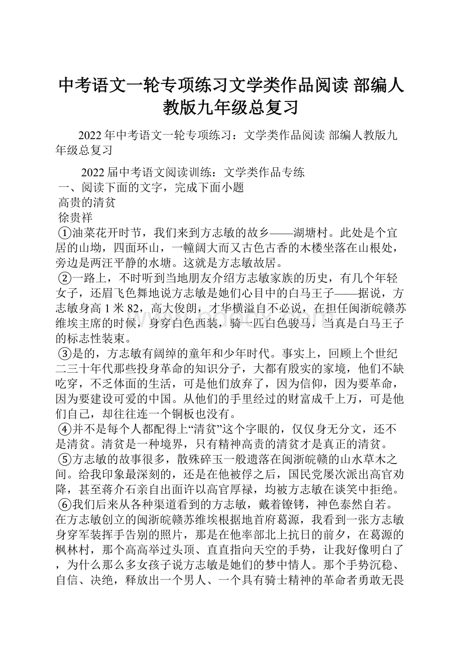 中考语文一轮专项练习文学类作品阅读部编人教版九年级总复习.docx