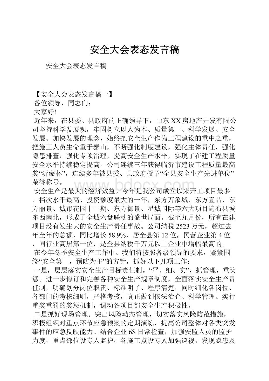 安全大会表态发言稿.docx_第1页