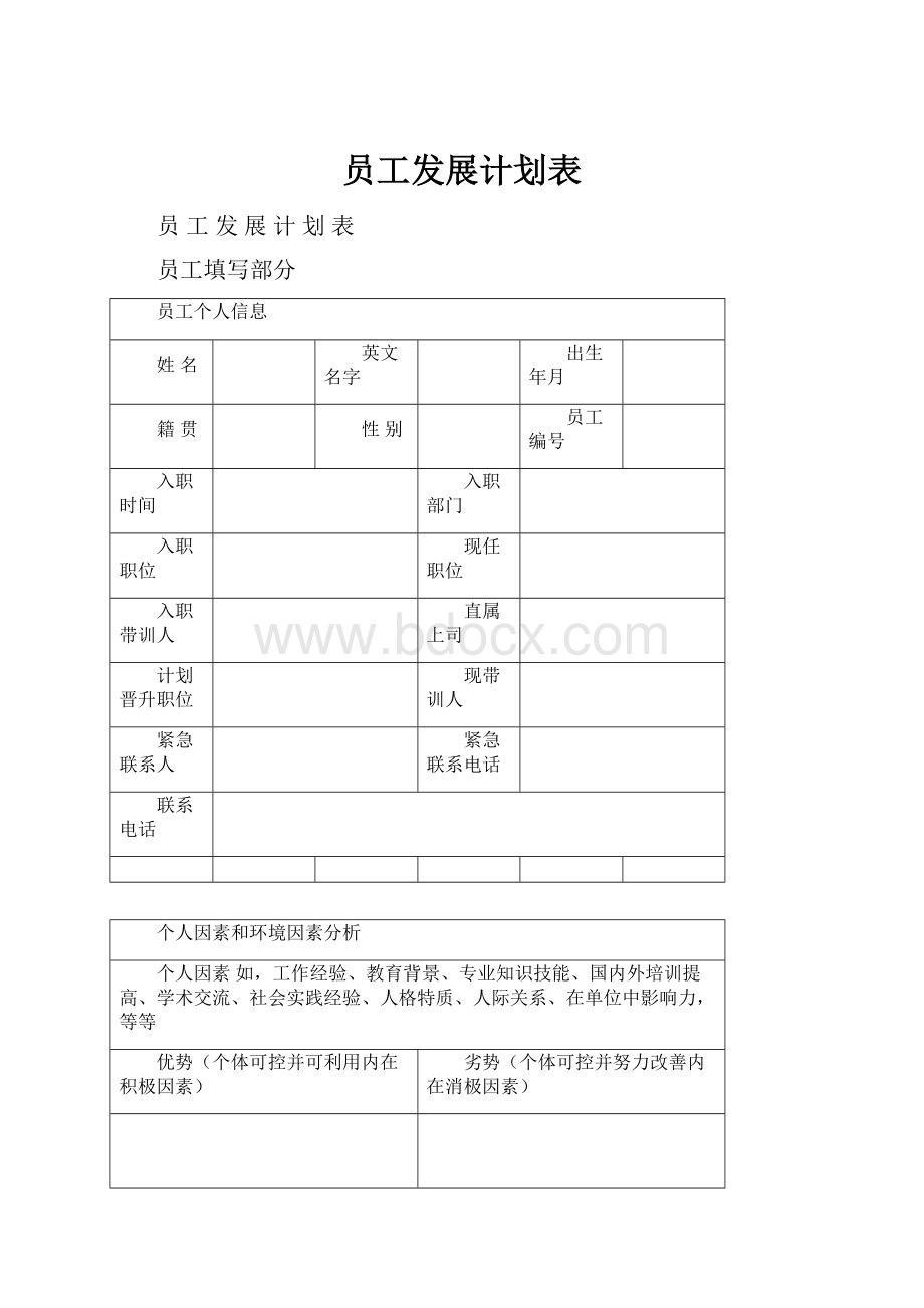 员工发展计划表.docx