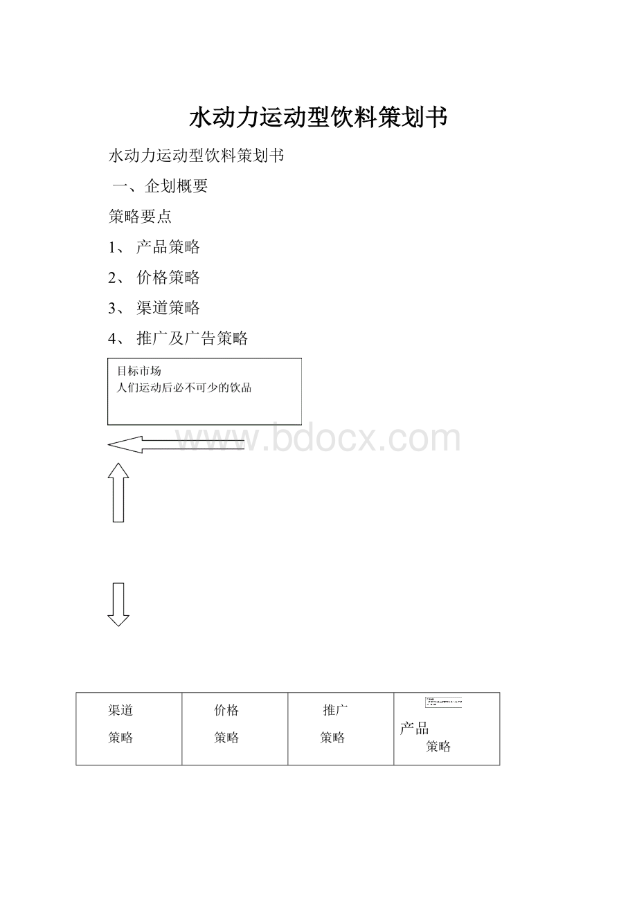 水动力运动型饮料策划书.docx