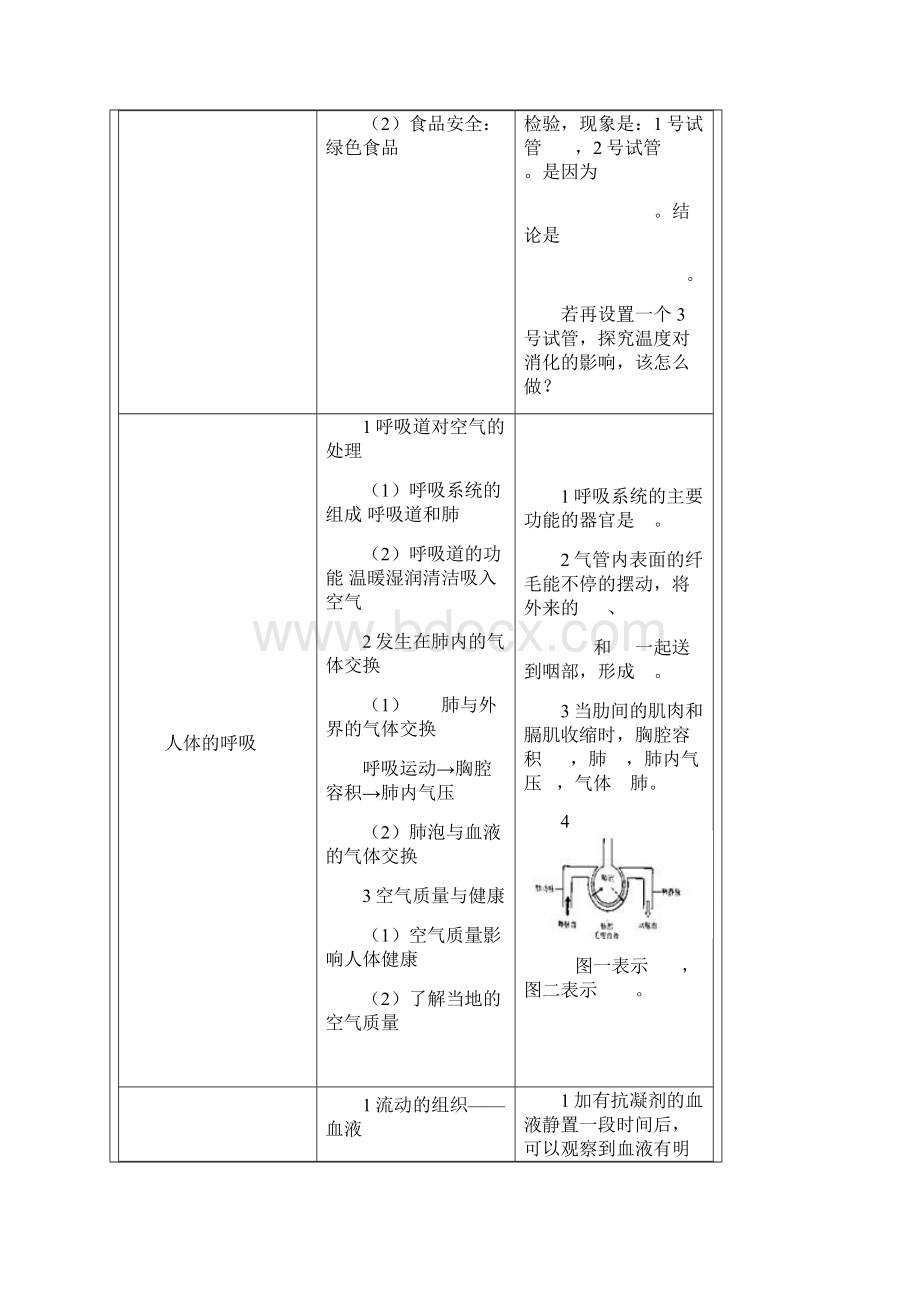 初中生物总复习知识概要七年级下册.docx_第3页