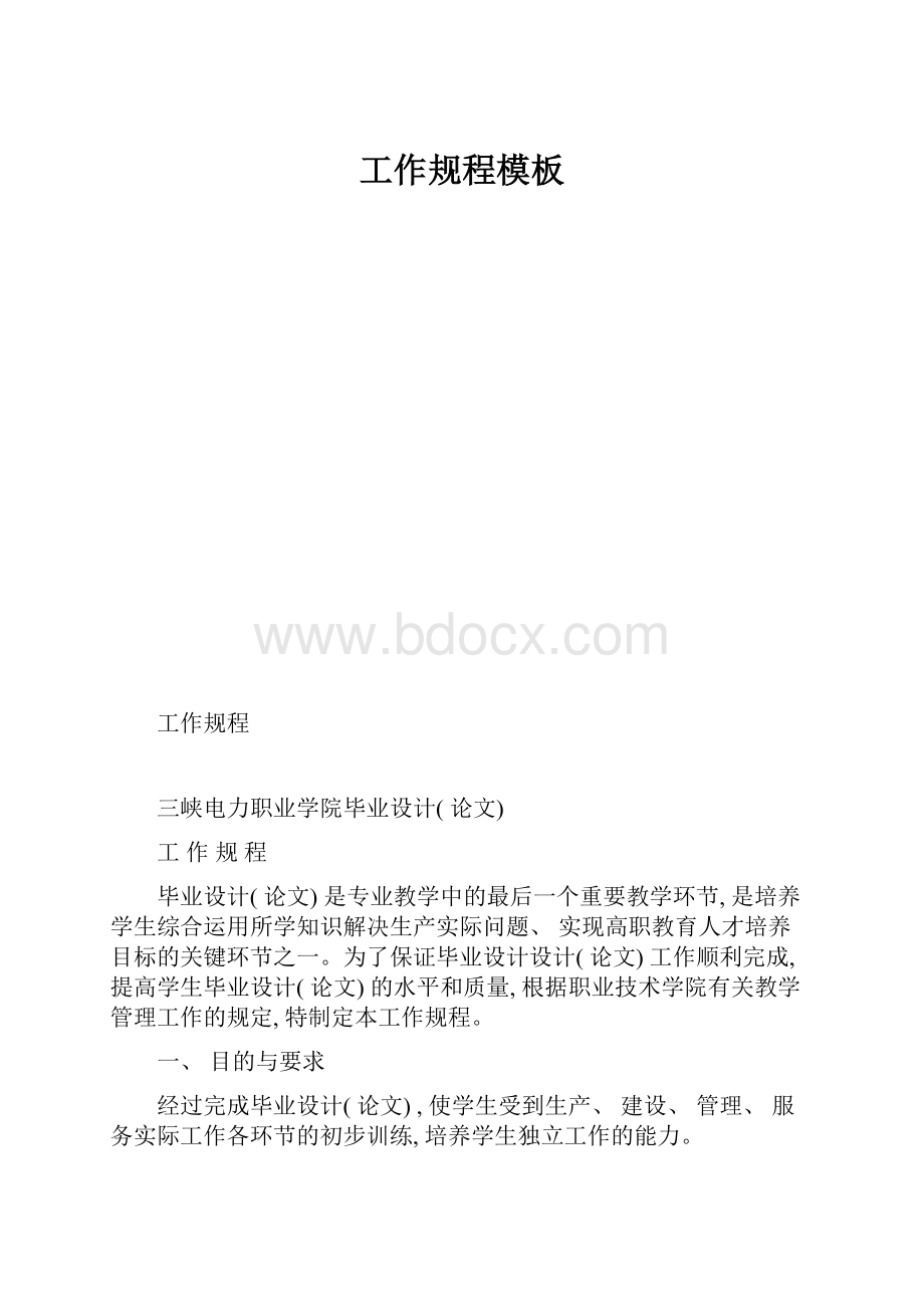 工作规程模板.docx