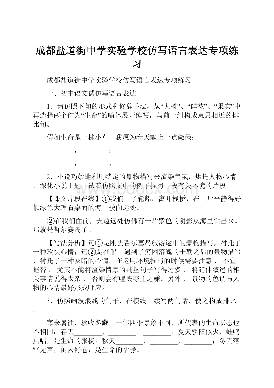 成都盐道街中学实验学校仿写语言表达专项练习.docx