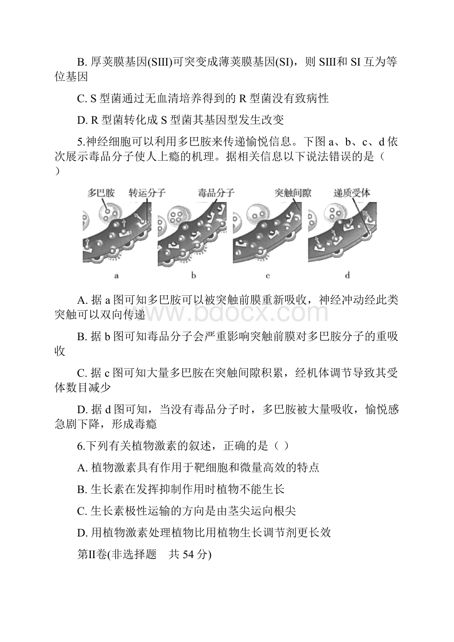 高考生物模拟试题五含答案及解析.docx_第3页