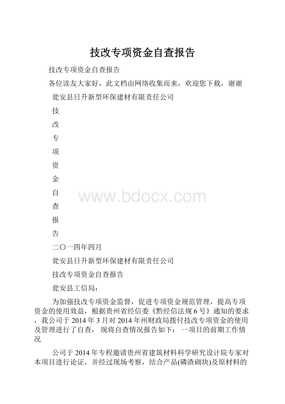 技改专项资金自查报告.docx