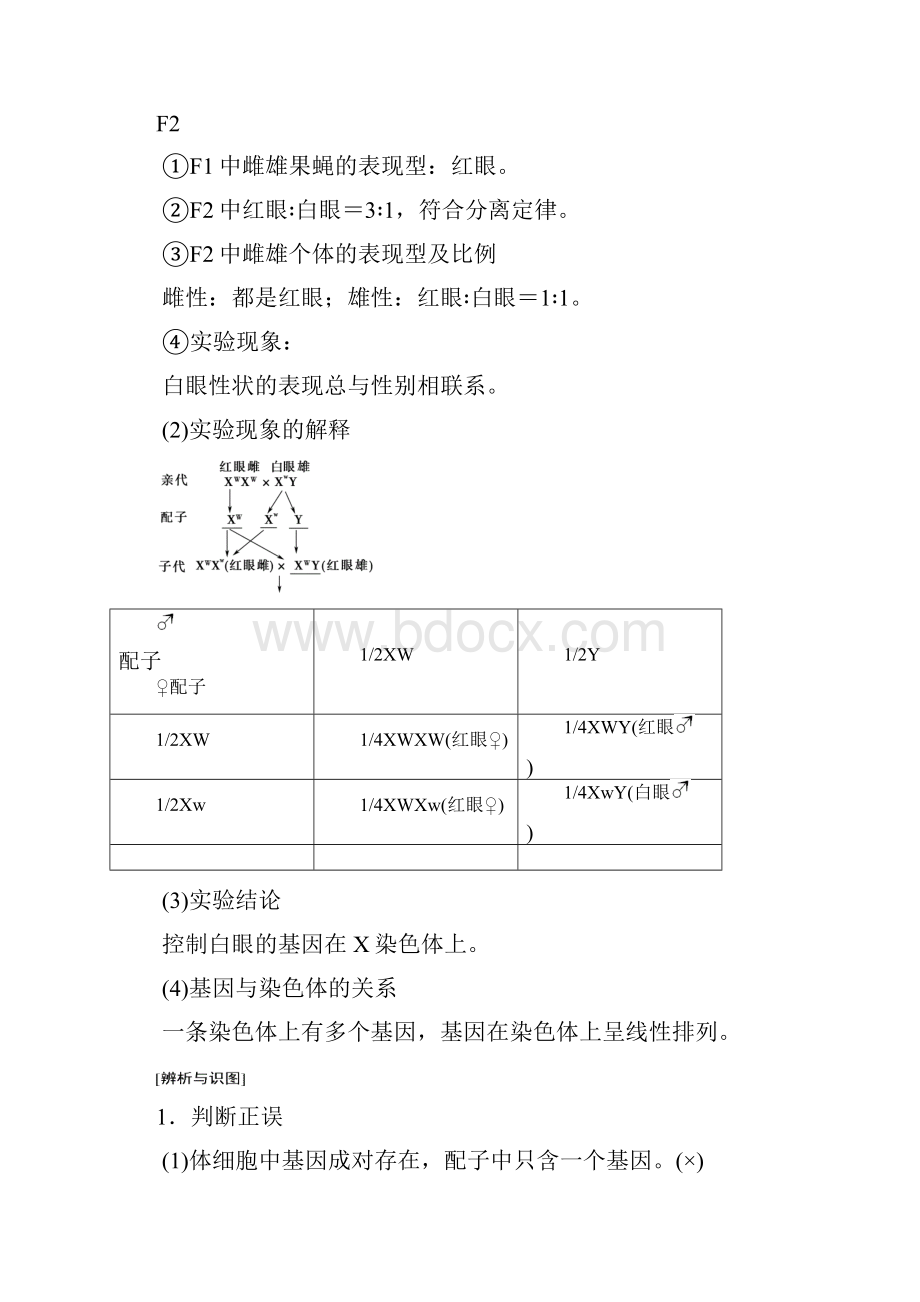 人教版生物高考一轮复习必修2 第5单元 第3讲 基因在染色体上和伴性遗传.docx_第2页