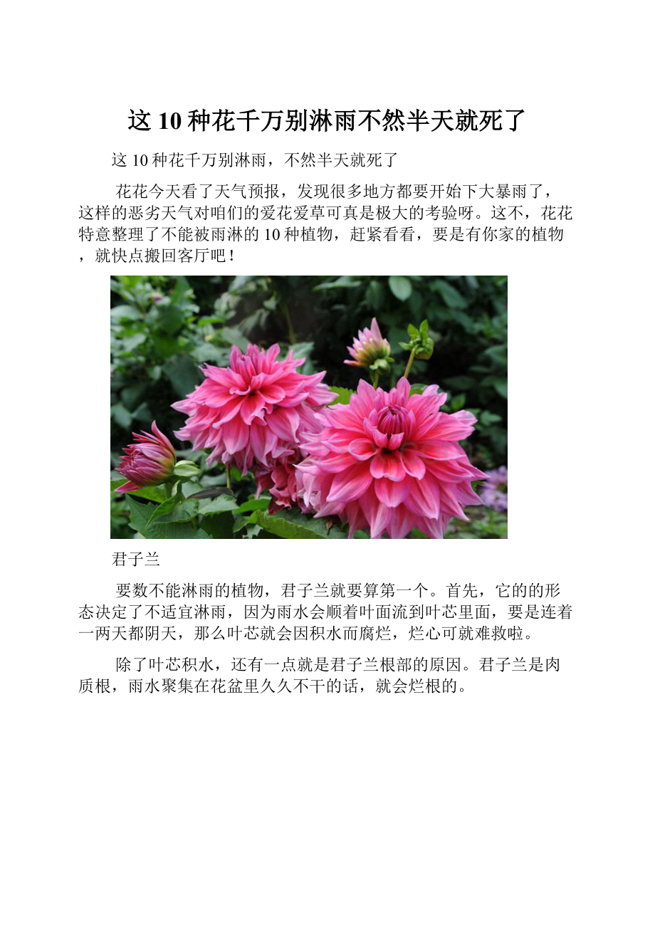 这10种花千万别淋雨不然半天就死了.docx