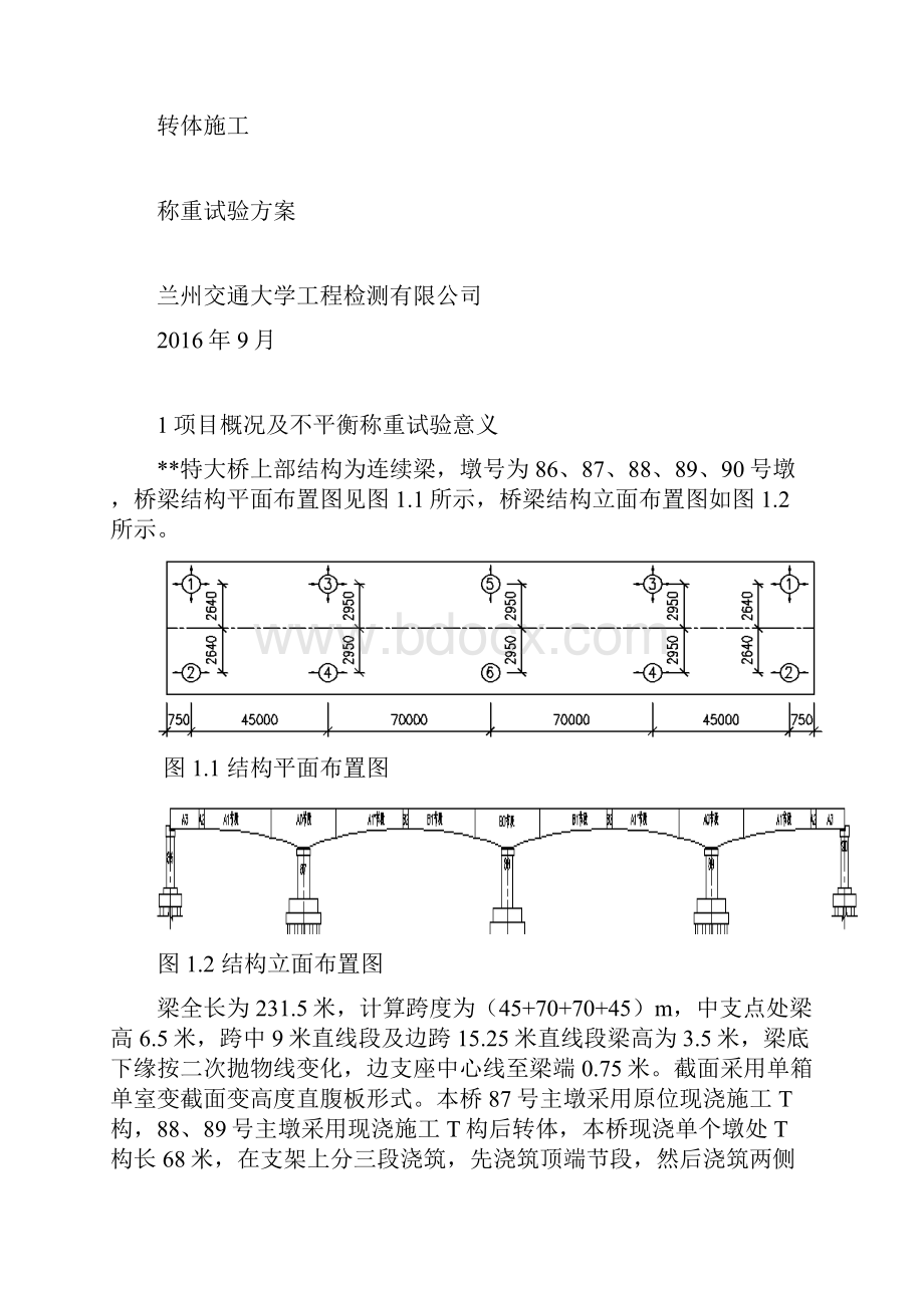 特大桥称重实验方案.docx_第2页