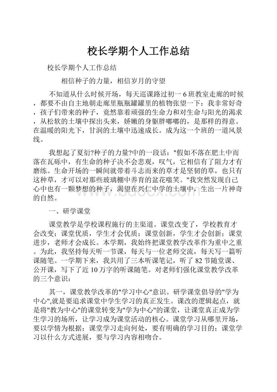 校长学期个人工作总结.docx