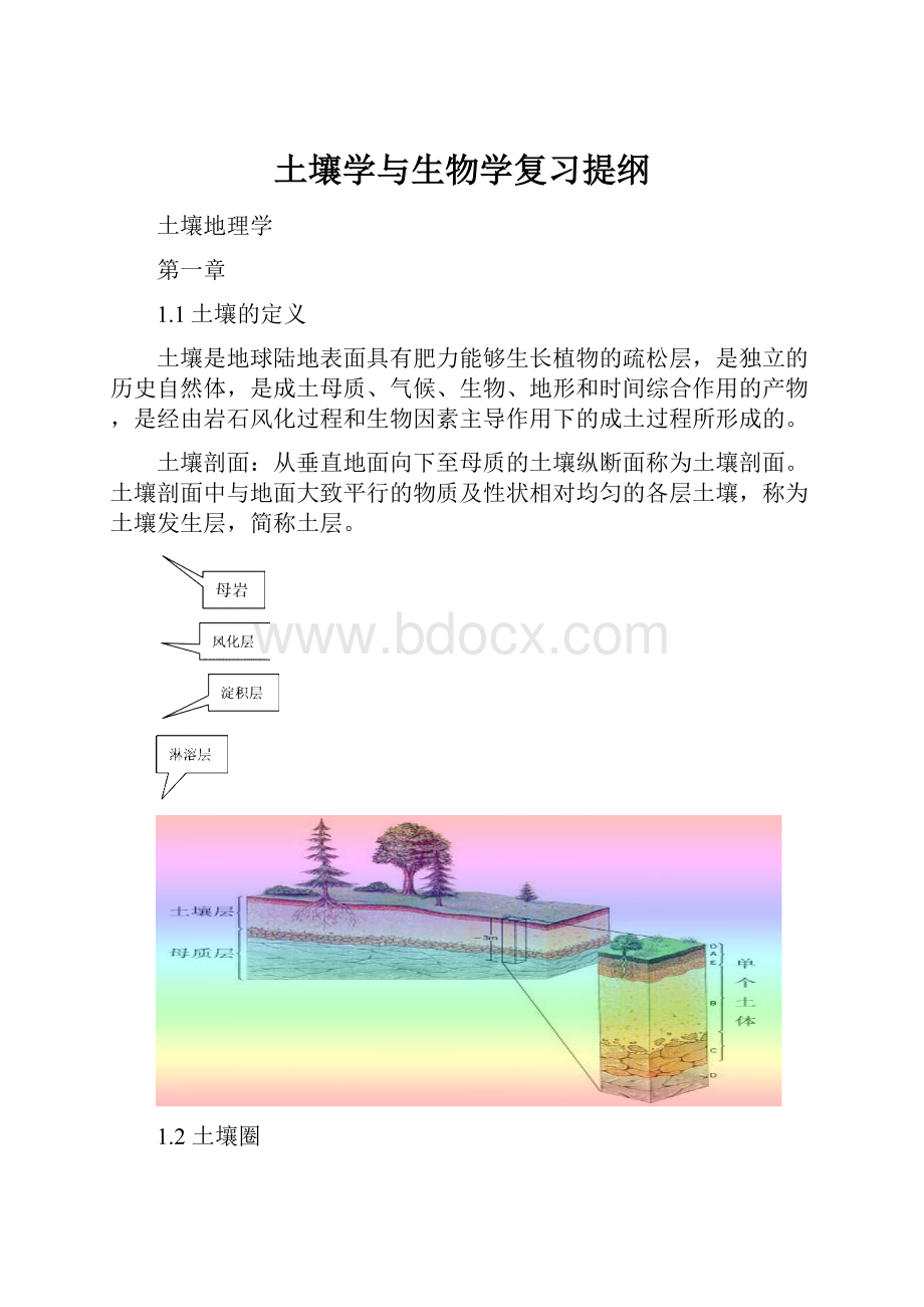 土壤学与生物学复习提纲.docx