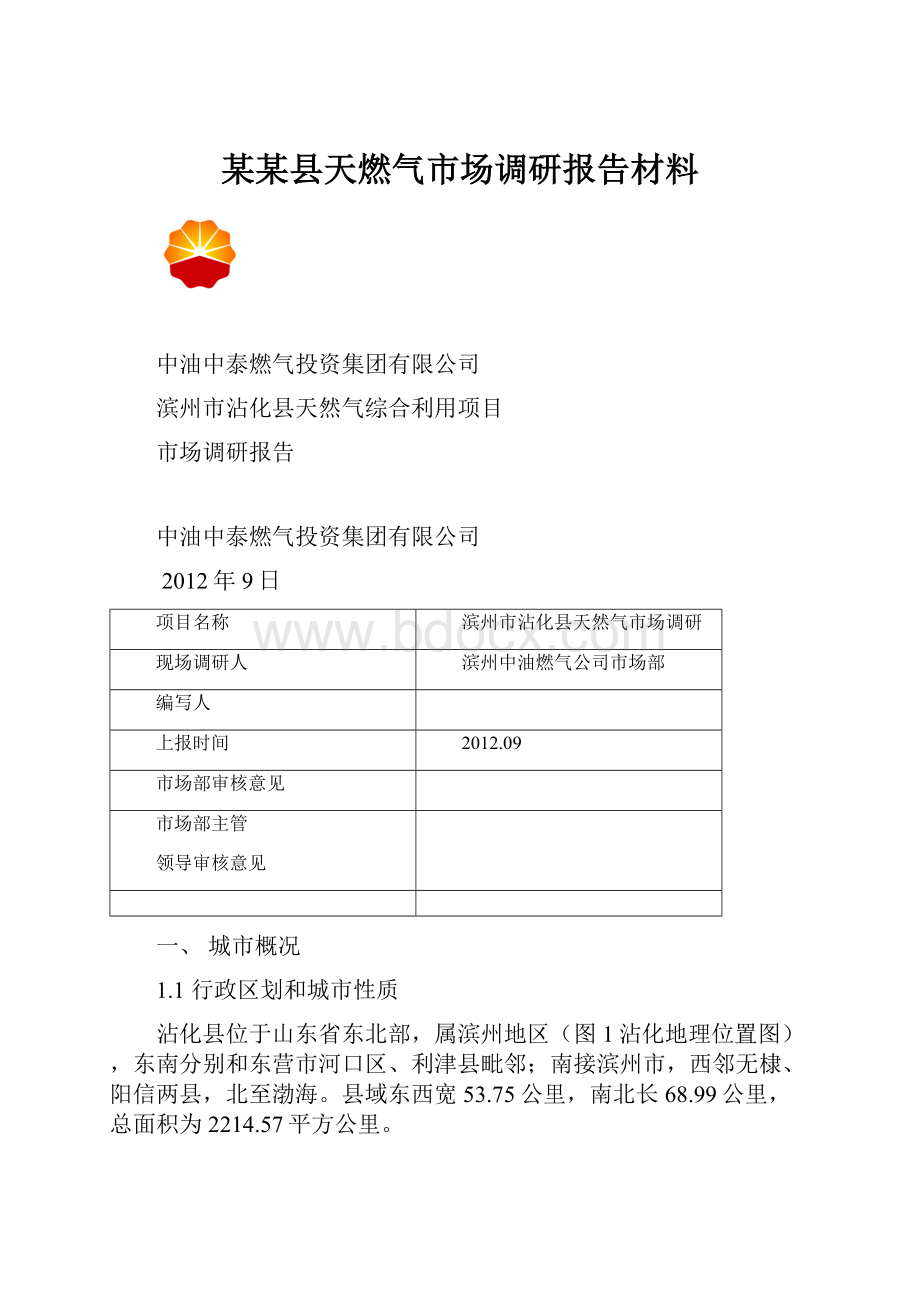 某某县天燃气市场调研报告材料.docx