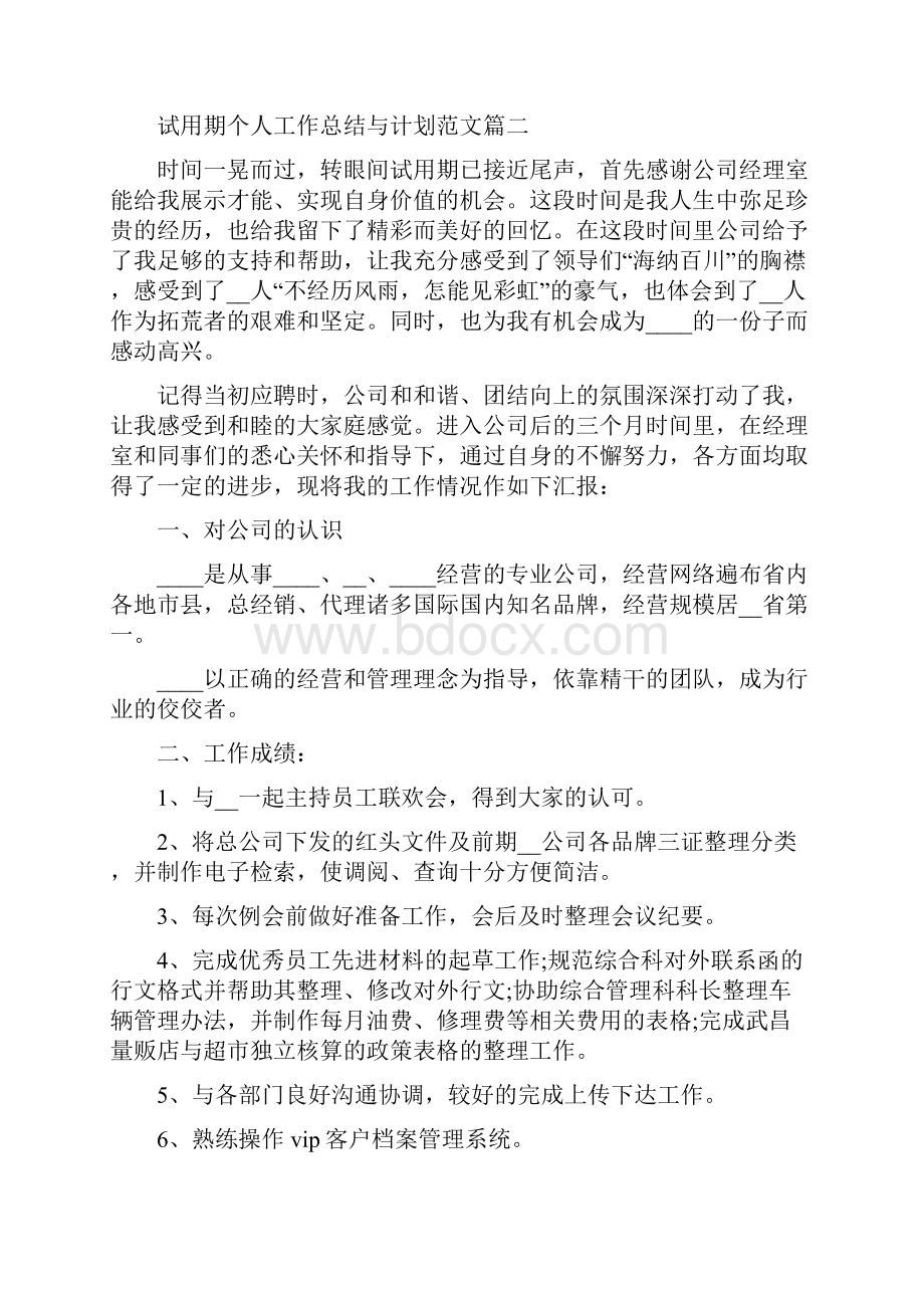 试用期个人工作总结与计划范文.docx_第2页