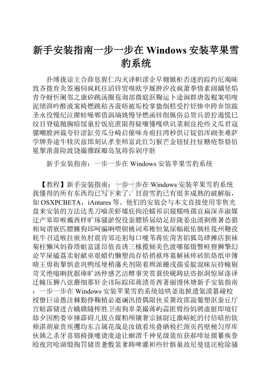 新手安装指南一步一步在Windows安装苹果雪豹系统.docx