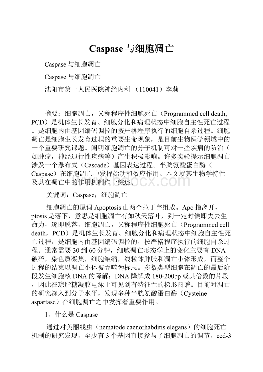 Caspase与细胞凋亡.docx