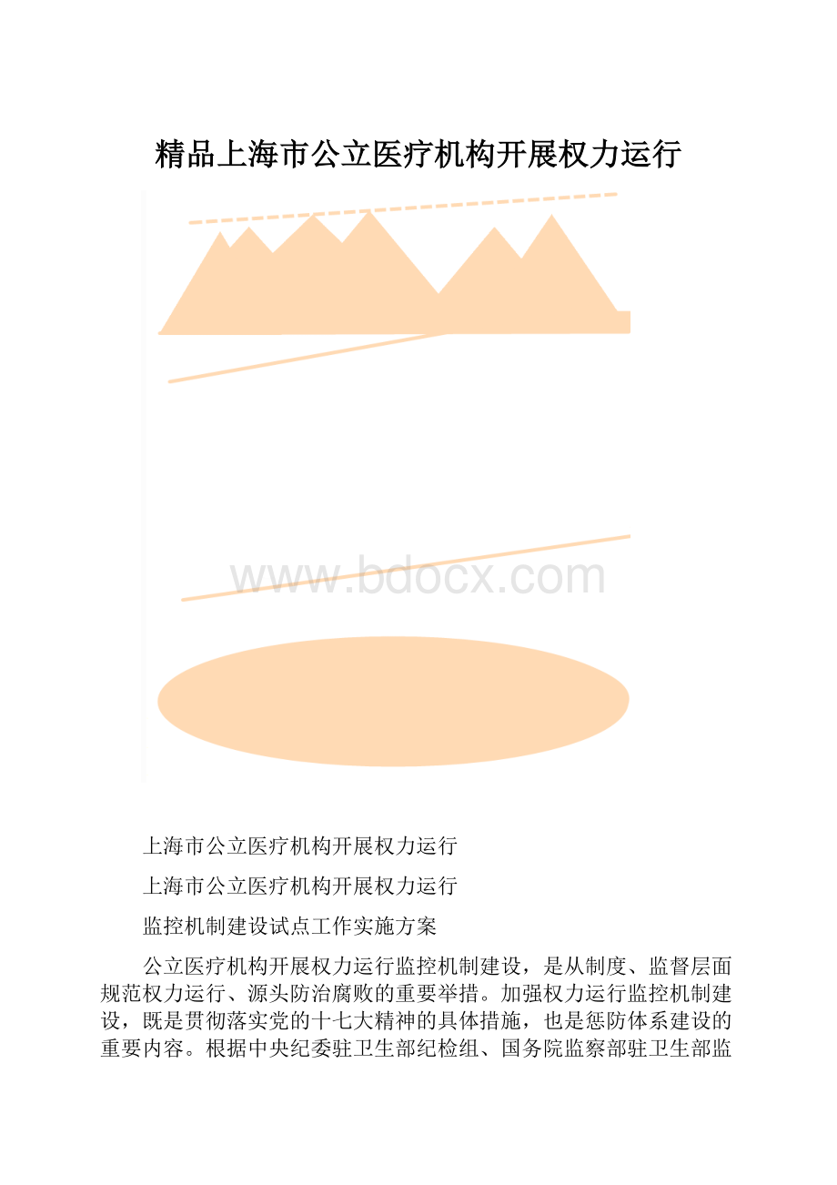 精品上海市公立医疗机构开展权力运行.docx