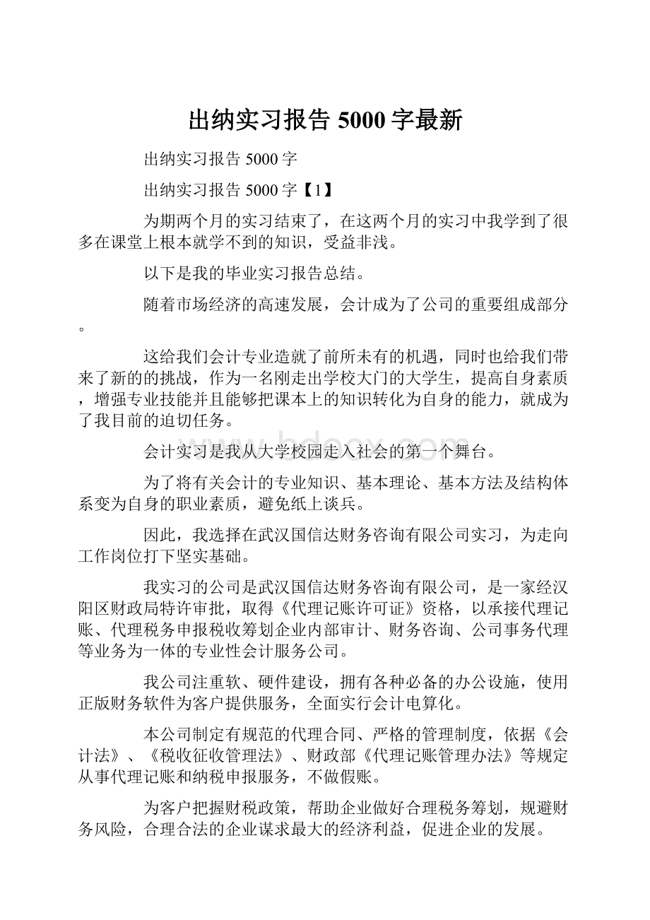 出纳实习报告5000字最新.docx