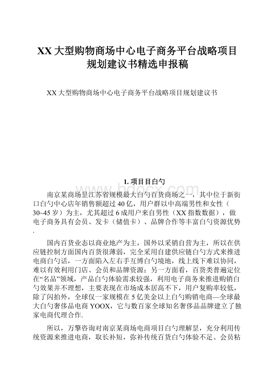 XX大型购物商场中心电子商务平台战略项目规划建议书精选申报稿.docx