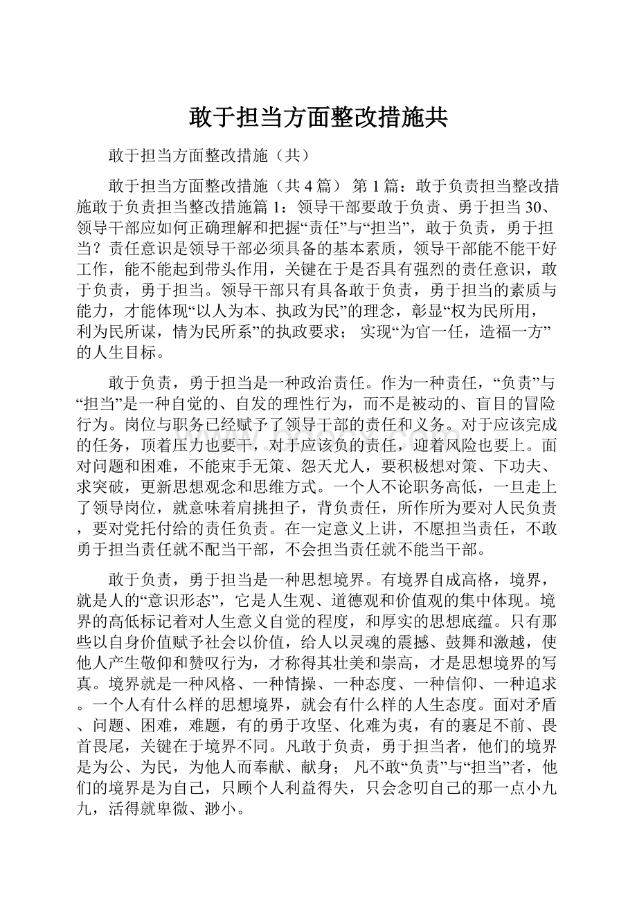 敢于担当方面整改措施共.docx_第1页