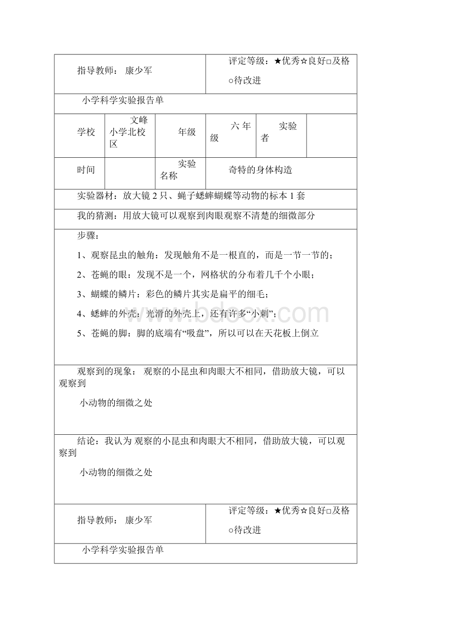 新教科版六年级下册科学实验记录复习进程.docx_第2页