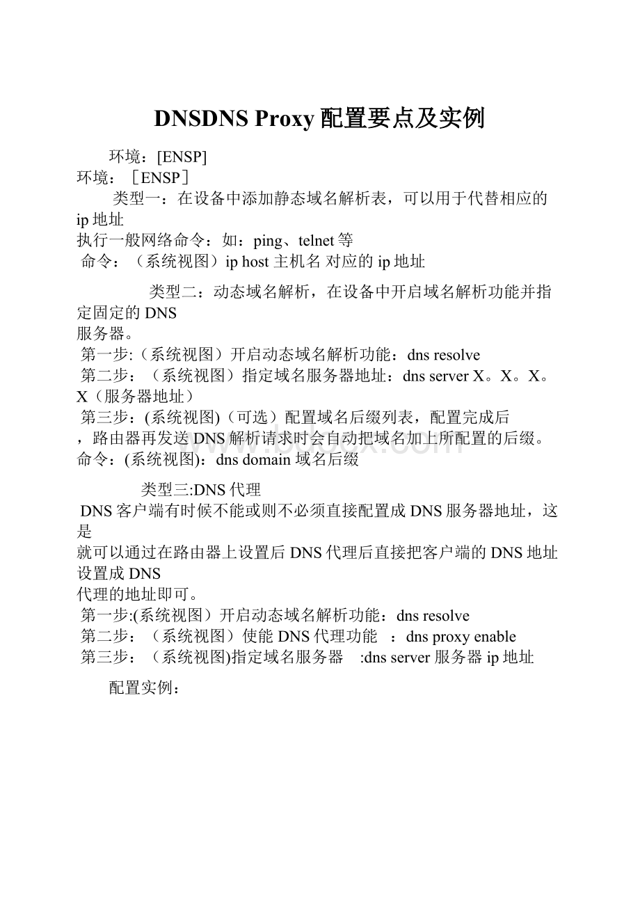 DNSDNS Proxy配置要点及实例.docx