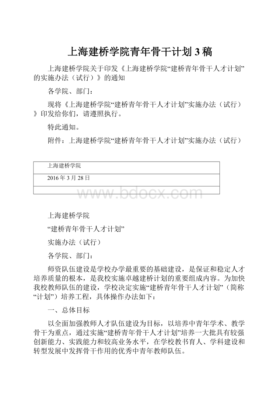上海建桥学院青年骨干计划3稿.docx_第1页