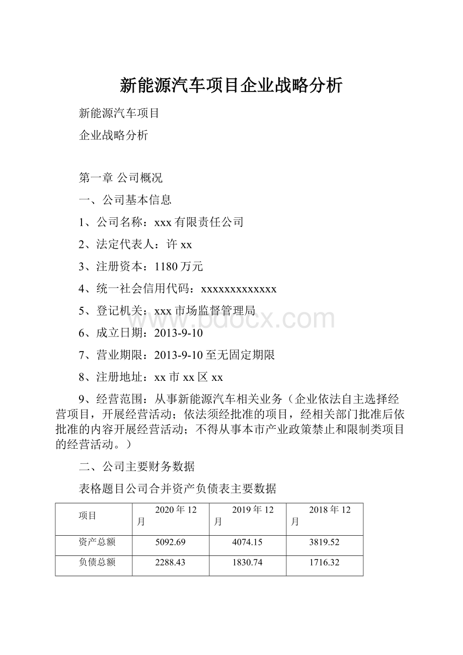 新能源汽车项目企业战略分析.docx