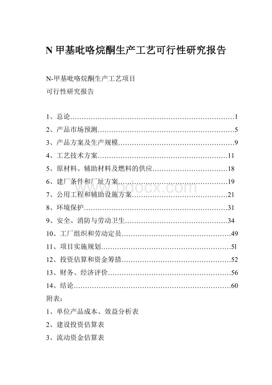 N甲基吡咯烷酮生产工艺可行性研究报告.docx