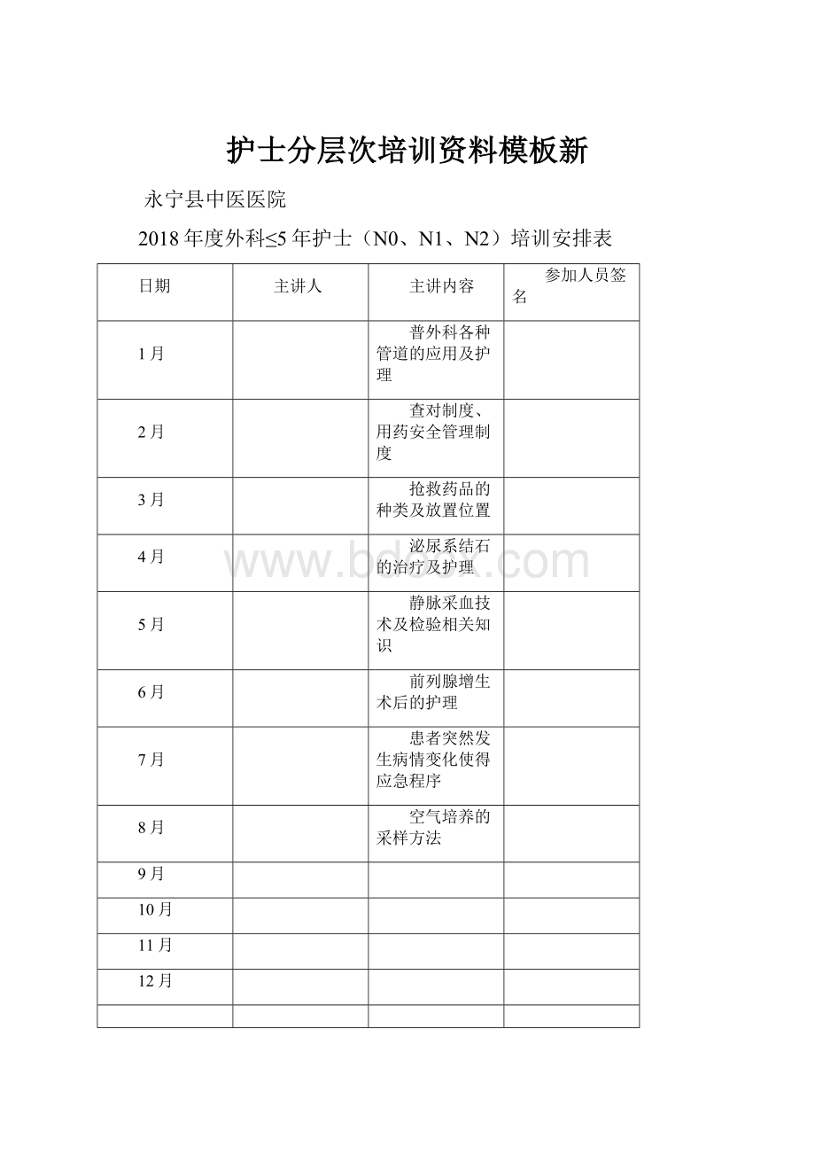 护士分层次培训资料模板新.docx