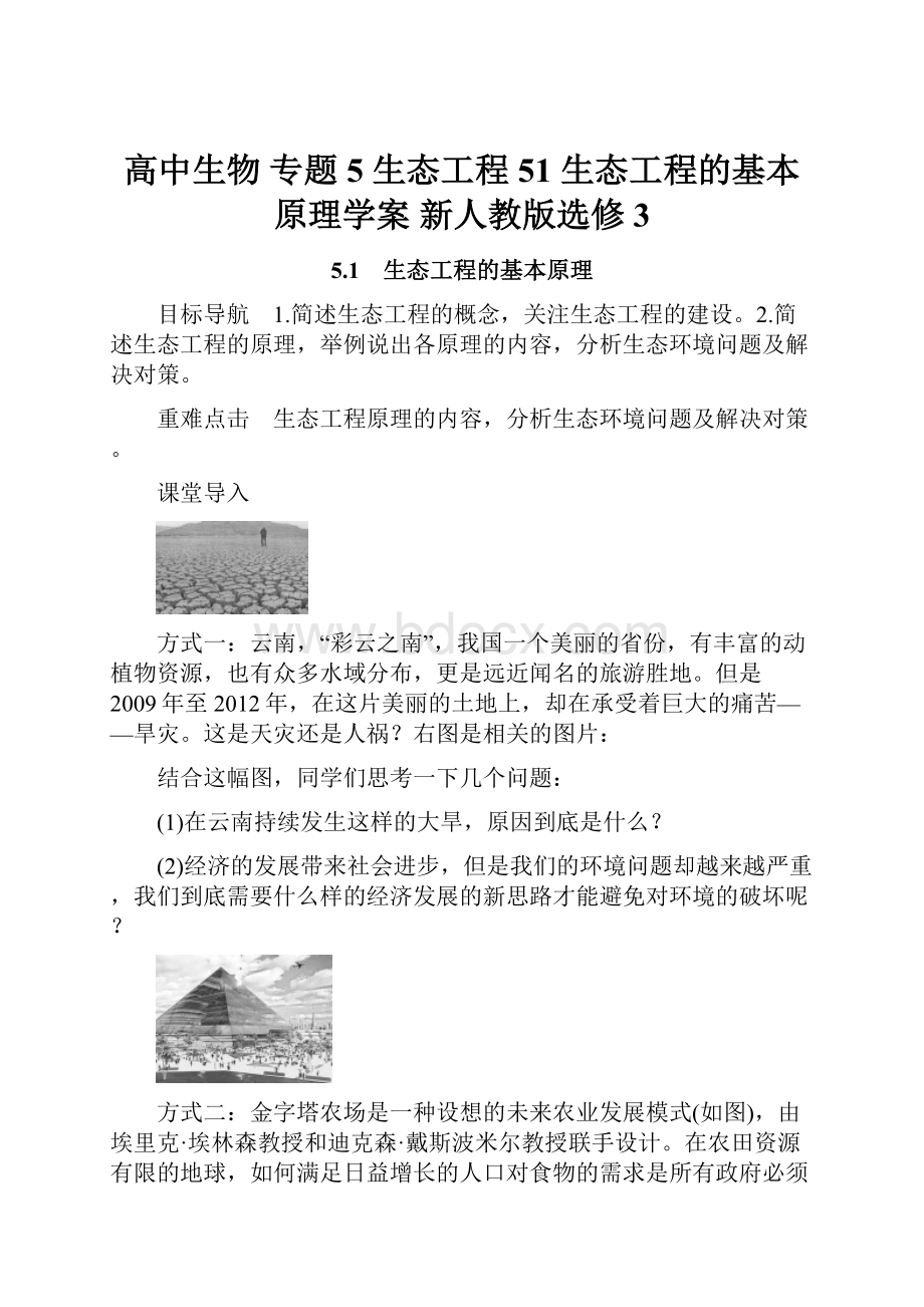 高中生物 专题5 生态工程 51 生态工程的基本原理学案 新人教版选修3.docx_第1页